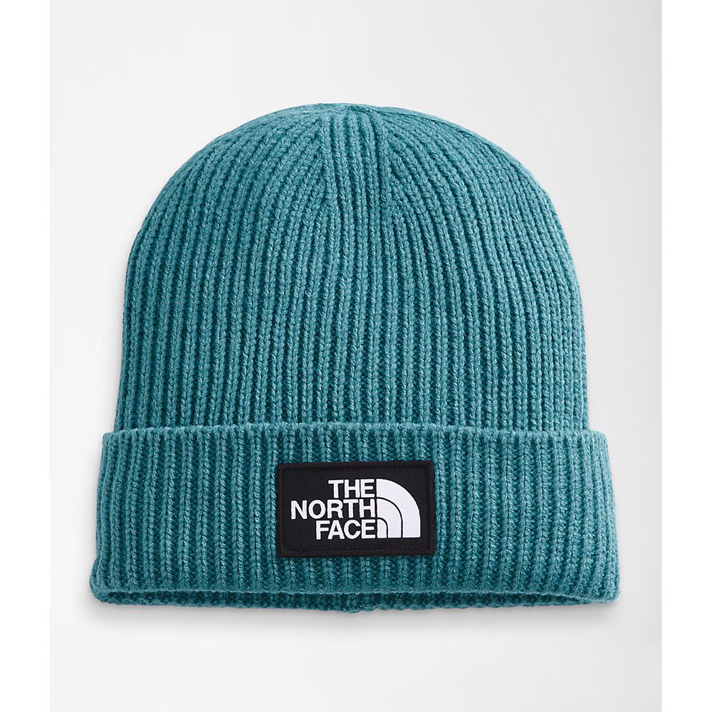 The North Face Beanies Mens Australia - The North Face Tnf™ Logo Box Cuffed Blue (PGA-089712)